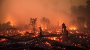 Krisis Kebakaran Hutan Terparah di Indonesia